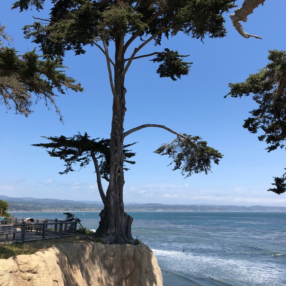 🌿Meet your seller🌿 - Picture 12 of 16